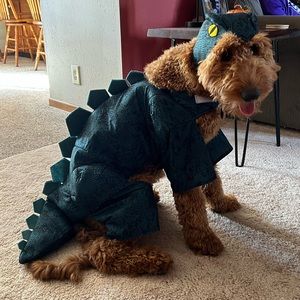 Dinosaur Dog Halloween costume